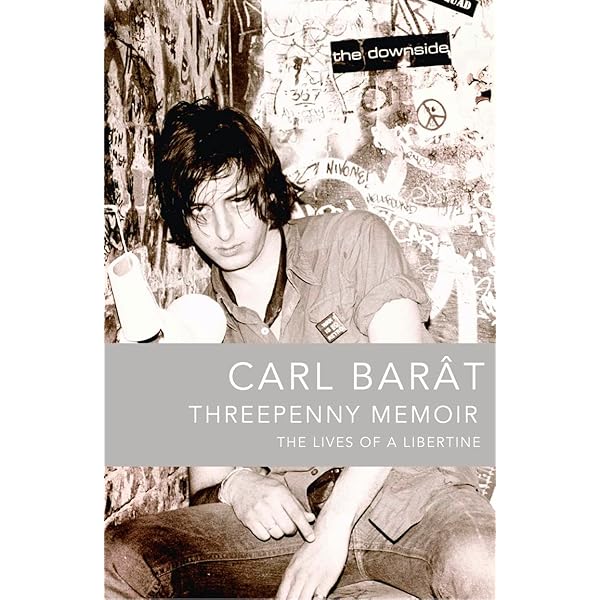 アート・デザイン・音楽 The Collected Writings of Peter Doherty The Books of Albion: The Collected Writings of Peter Doherty